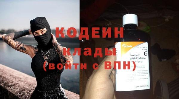 мдпв Карпинск