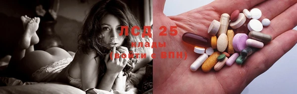 мдпв Карпинск