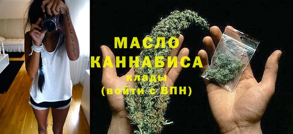 мдпв Карпинск