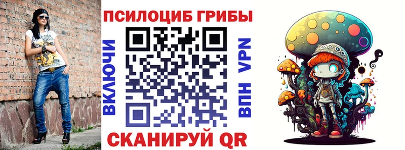 Галлюциногенные грибы Psilocybe Александровск