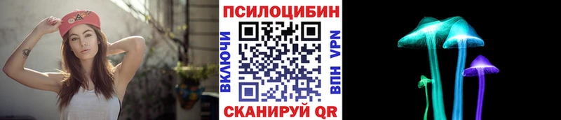 Псилоцибиновые грибы прущие грибы  Александровск 